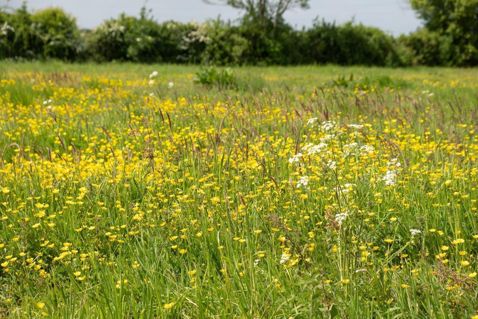 East Green Farm Cottages - The Granary Saxmundham Buitenkant foto